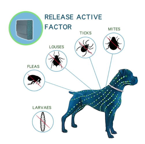 3-in-1 Pet Safety Bundle