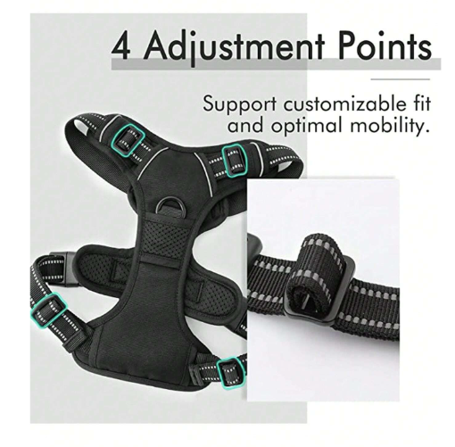 3-in-1 Pet Safety Bundle