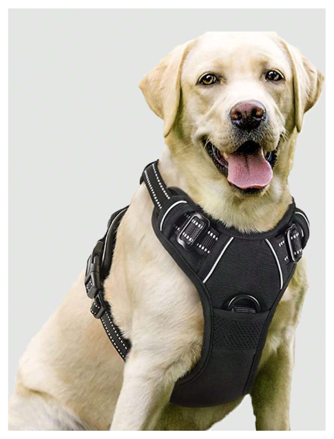 3-in-1 Pet Safety Bundle
