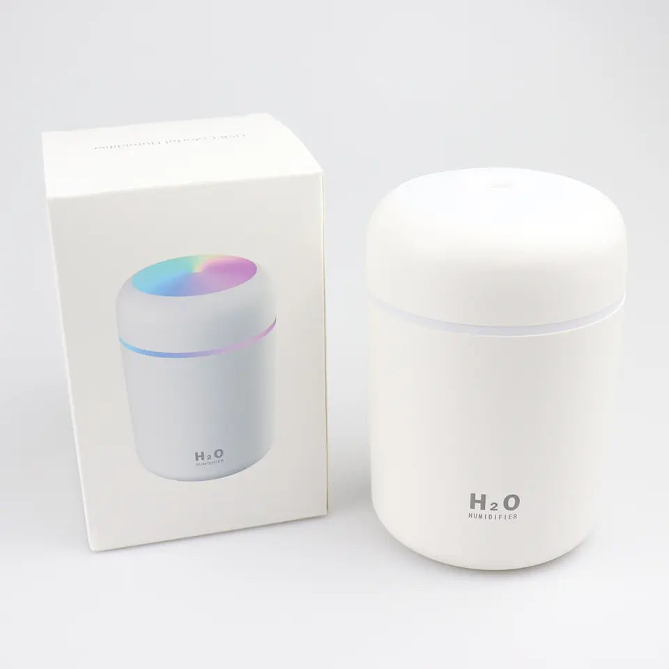 LED Light Mini 300ml H2o Spray Mist humidifier